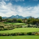 We-Ko-Pa Golf Club - Saguaro Course