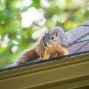 Critter Control - Wildlife Refuge