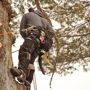 Mike's Tree Service