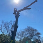 Veteran Family Tree Service