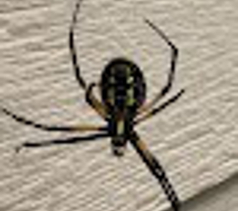 Preferred Pest Control LLC - Savannah, MO