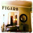 Figaro Salon