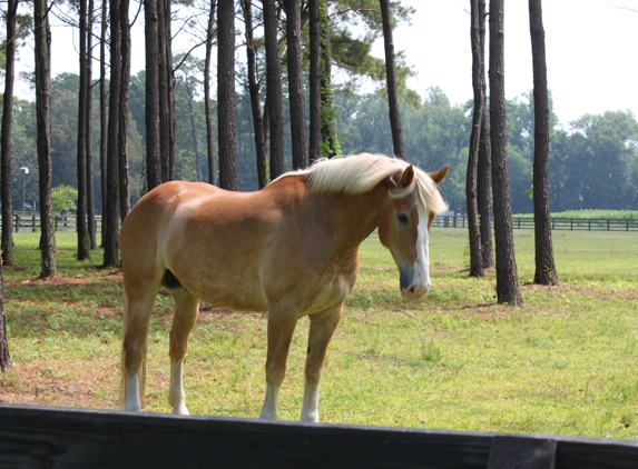 Silver Star Farm - Camden, NC