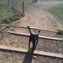 West Arvada Dog Park - Dog Parks