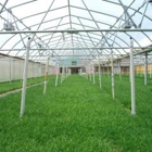 Evergreen Nursery Inc