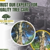 Lemus Tree Service & More LLC gallery