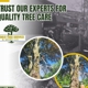 Lemus Tree Service & More LLC