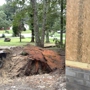 Coleman Stump Removal