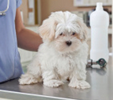 Flushing Veterinary Hospital - Flushing, NY