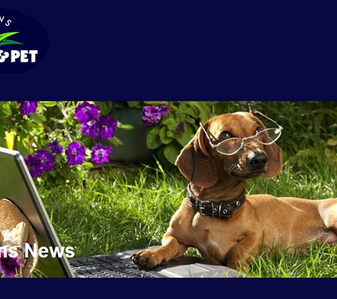 Boylans Garden & Pet Supplies - Bundaberg Central, QLD