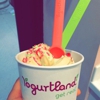 YogurtLand gallery