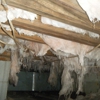 Carolina Crawlspace Solutions gallery