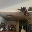 Neptune Mold Solutions - Mold Remediation