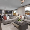 Woodberry at Bradshaw Crossing by Richmond American Homes gallery