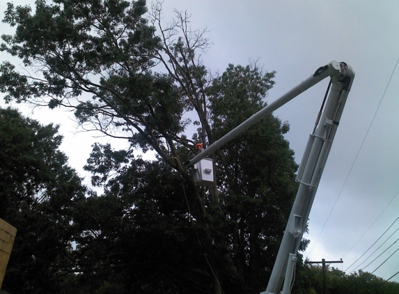 Wright Brothers' Landscaping & Tree Service - Carrboro, NC