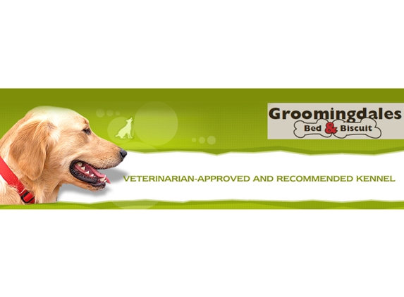 Groomingdales Bed & Biscuit - Tampa, FL