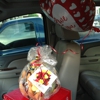 Edible Arrangements gallery