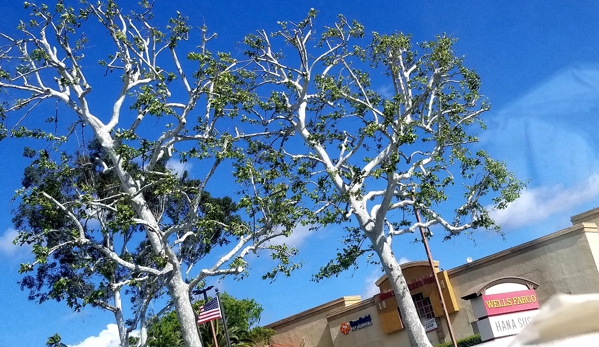 The best Tree Guys - Perris, CA