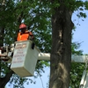 T L C Tree Service gallery