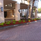 Chaconia Landscaping