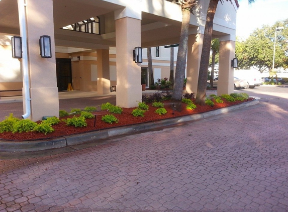 Chaconia Landscaping - Orlando, FL