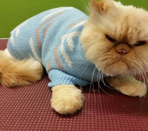 Leanne's Passion Pet Salon - Greystanes, NSW