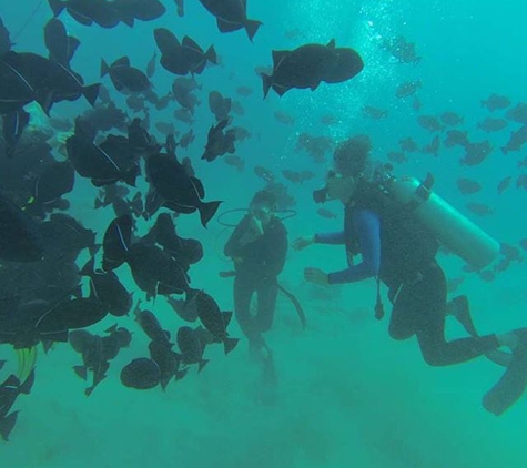 Rainbow Scuba Hawaii - Honolulu, HI