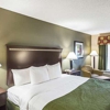 Quality Inn & Suites Greenville - Haywood Mall gallery