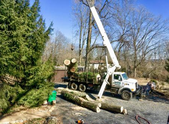 Advanced Tree Care - Ambler, PA