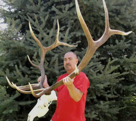 Classic Antler Mounts LLC - Aurora, CO