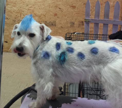 Pooches & Smooches Dog Grooming - Pocola, OK