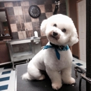 Petopia Animal Wellness Spa and Salon - Pet Services