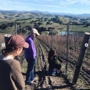 Appellation Wine Tours Santa Barbara