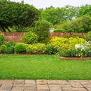 Evergreen Lawn - Artificial Grass