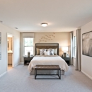 Tramore Square by Meritage Homes - Home Builders