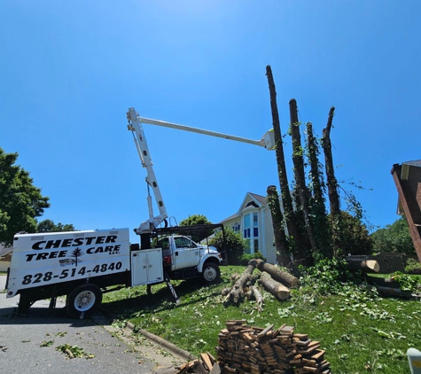 Chester Tree Care - Hickory, NC