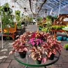 Puritas Nursery & Garden Center