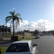 Gallery Image Number 6