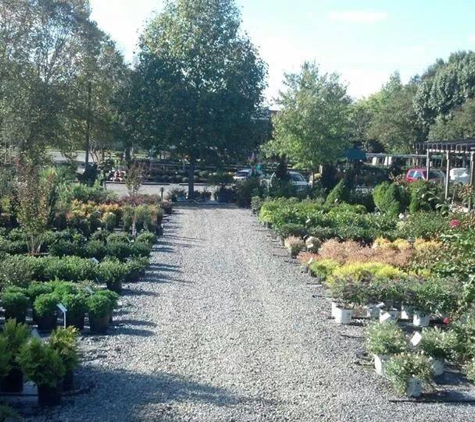 Southern Styles Nursery & Garden Ctr - Charlotte, NC