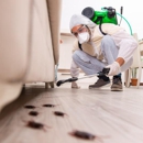 Superior Pest Solutions - Termite Control