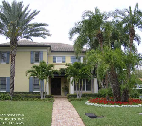 Landscaping Tune-Ups, Inc. - Tampa, FL