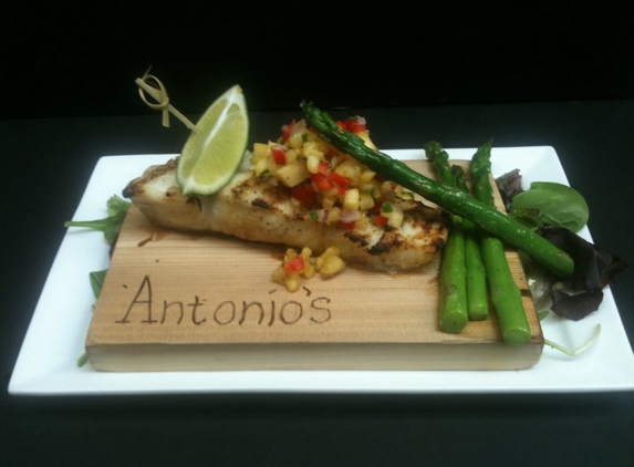 Antonio's Italian Cuisine - Sterling Heights, MI