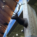 Cabela's - Sporting Goods