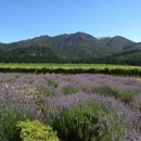 St. Francis Winery and Vineyards - Wineries