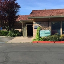 LeMay Chiropractic & Wellness - Chiropractors & Chiropractic Services