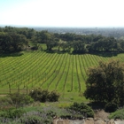 Paradise Ridge