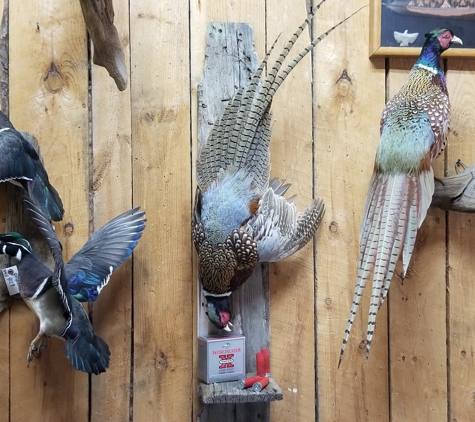 Verns Taxidermy - Algonquin, IL