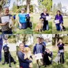 Finest City Dog Training gallery