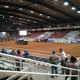 Mesquite Rodeo