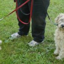 Our Furry Friends Training Center - Pet Boarding & Kennels